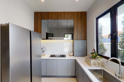 Dillenia-Worldwide-09052020_210705