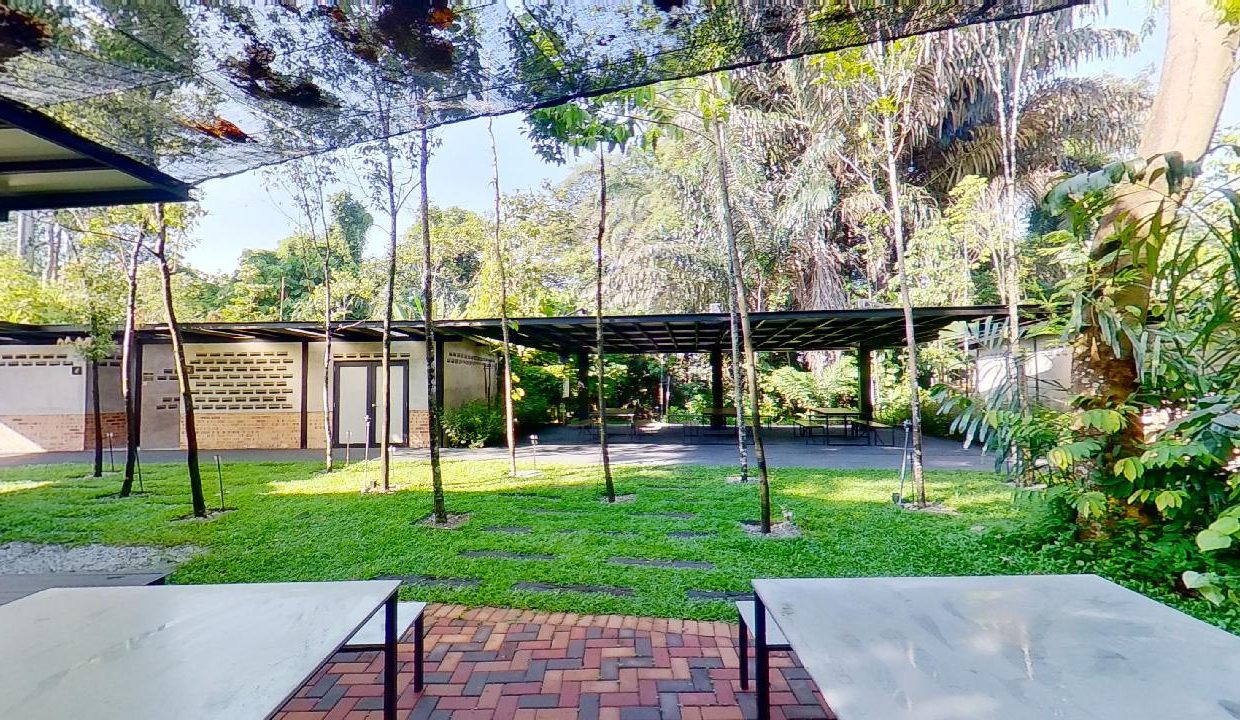 Taman-Tugu-Nursery-07242020_105115