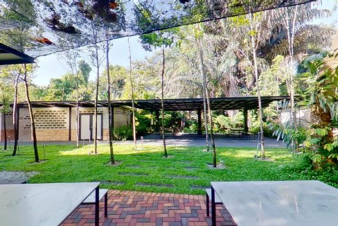 Taman-Tugu-Nursery-07242020_105115