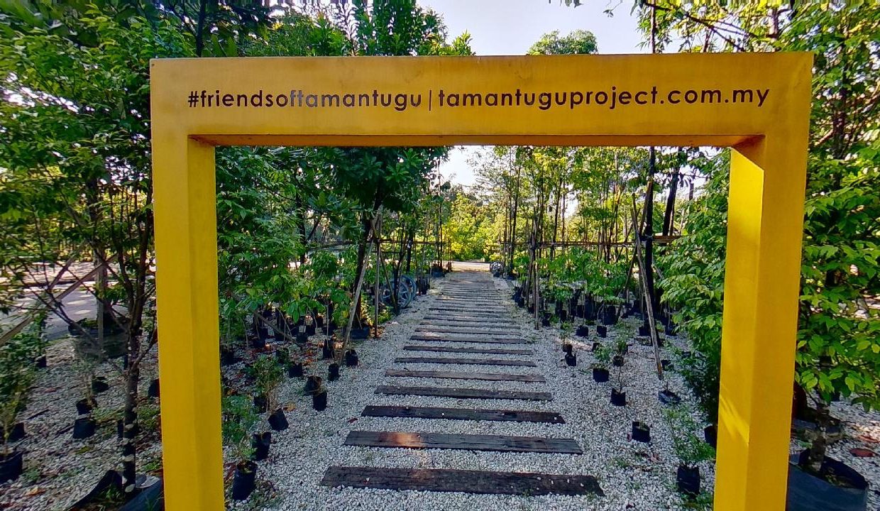 Taman-Tugu-Nursery-07242020_105243