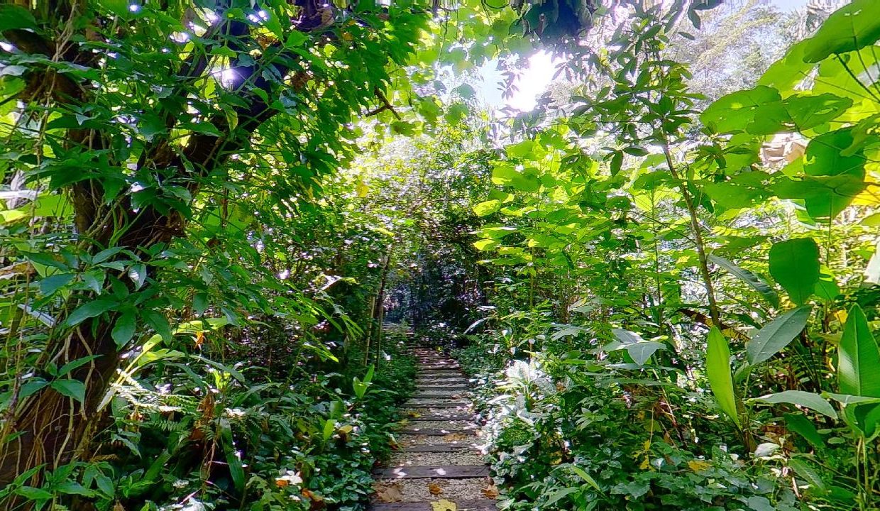 Taman-Tugu-Nursery-07242020_110747