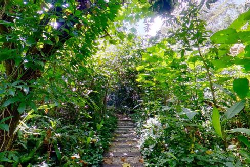 Taman-Tugu-Nursery-07242020_110747