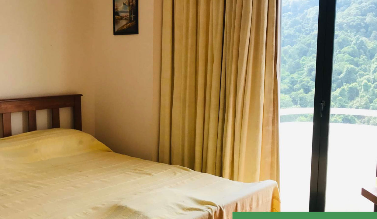 272730053_686837272690247_2747587559343251700_n