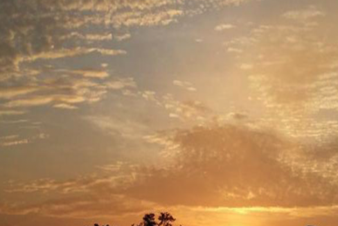 Screenshot 2022-07-15 at 2.12.52 PM